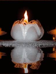 We did not find results for: I Offer This Candle To You Jesus Daily Prayers