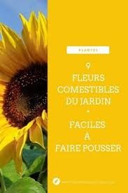 Epingle Sur Fleur