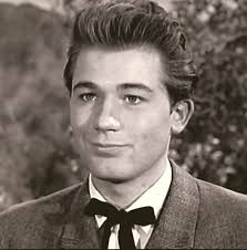 Wagon Train" The Jeff Hartfield Story (TV Episode 1962)