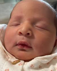 Freddy Macías, Nora Bracho, Coromoto Rodríguez , Carmelo Contreras Julio  Urribarri Fonseca y Jhonny Almarza.