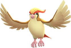 Pokemon Go Pidgey Max Cp Evolution Moves Spawn Locations