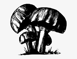Drawing Trippy Mushroom Transparent Png 600x545 Free Download On Nicepng So, since it was a trippy experience for me, here is a tutorial on how to draw shrooms, step by step. drawing trippy mushroom transparent png