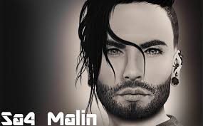 Secondlife Companions*