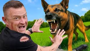 Brad Griggs interviewed live