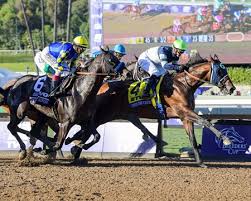 Storm The Court Upsets Breeders Cup Juvenile Bloodhorse
