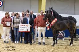 Michael Böhm und Sandra Krämer sind Norikerzüchter des Jahres 2024!