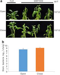 Over the years, colorado potato beetles have developed resistance to many pesticides. Increased Evapotranspiration Promoted Leaf Wilting Development On Download Scientific Diagram