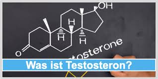 In male humans, testosterone plays a key role in the development of male reproductive tissues such as testes and prostate. Testosteron Steigern Die 11 Besten Tipps
