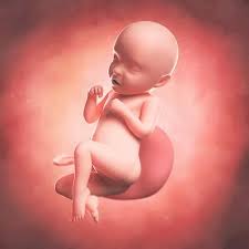 We did not find results for: 31 Semanas De Embarazo Empiezan Las Contracciones Preparatorias