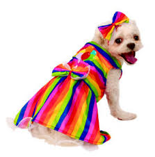 Details About Rainbow Female Pet Bright Party Dress Halloween Costume