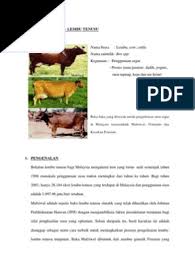 Diajar oleh guru terbaik 37 guru yang mengajar pembayaran aman di superprof tidak ada komisi. Kertas Kerja Penternakan Lembu Tenusu