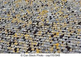Mousse Toit Lichen On Roof Toit Toit En Ardoise Mousse