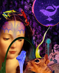 Symbiotic Mediocrity // art by Robert Williams .