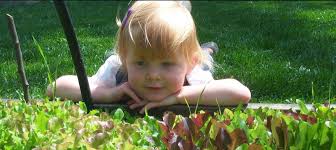 Cingjing farm is minutes away. Renee S Garden Reneesgarden Twitter