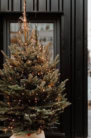 Inspirational christmas decorating tips from our facebook live and youtube at my christmas we scour the globe to find the perfect christmas trees and decorations so you can create stunning christmas displays with ease. Cedar Grove Christmas Trees New Jersey S Oldest And Largest Retail Christmas Tree Lots