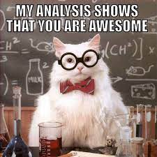My Analysis Encouragement Meme Hello Big Apple