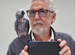 Videowest community reunion in Mill Valley