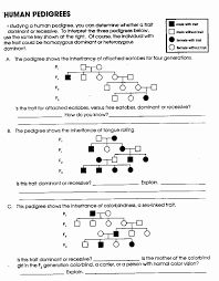 A circle represents a female. Genetics Problems Worksheet Answer Key Awesome 14 Best Of Pedigree Worksheet With Answe Genetics Practice Problems Word Problem Worksheets Practices Worksheets