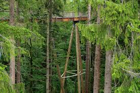 Canopy walkway, a structure allowing pedestrian access to a forest canopy. World S Longest Tree Top Walk In Bavaria Amusing Planet