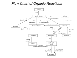 Organic Chemistry Flow Chart Imgur