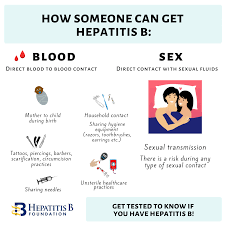 Hepatitis b is a serious liver infection caused by the hepatitis b virus (hbv). Hepatitis B Transmission For Those Newly Diagnosed Hepatitis B Foundation