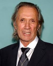 L'Homme qui tombe à pic