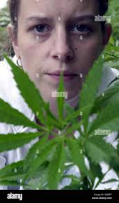 Clara krankenhaus -Fotos und -Bildmaterial in hoher Auflösung