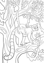 New users enjoy 60% off. Coloring Pages Mother Lemur With Her Little Cute Baby Stock Vector Illustration Of Animal Kindergarten 116685604