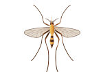 Company is more concerned about numbers than people. Residential Pest Control Allgood Pest Solutions Georgia Tennessee
