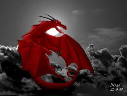 red dragon wallpaper ile ilgili görsel sonucu