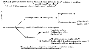 The Project Gutenberg Ebook Of Coal And What We Get From It