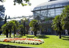 Nasi of bami jasmin garden met koe loe kai, ayam ketjap, babi pangang, 2 stokjes saté, foe yong hai en atjar. Jasmin Garten Aachen