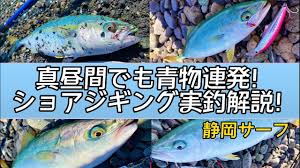 ショアジギング】真昼間でも青物が連発する方法！実釣解説！ in静岡サーフ - YouTube