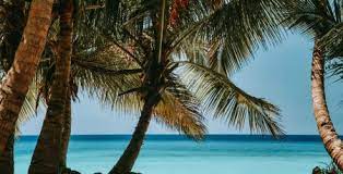 At undiscovered destinations we offer small group tours and tailor made holidays that take in the very best of madagascar. Madagascar Diving Passport