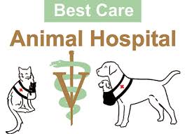 Best bets for free parking are on 34th or 35th avenues. Houston Tx Veterinarian Kohrville Louetta Best Care Animal Hospital