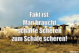 Soldaten tragen die haare immer kurz geschoren. Fakt Ist Man Braucht Scharfe Scheren Zum Schaf Istdaslustig De