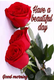 Share the best gifs now >>> Sign In Good Morning Roses Good Morning Flowers Good Morning For Her