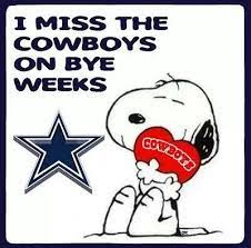 I Miss The Cowboys On Bye Weeks Dallas Cowboys Funny Dallas Cowboys Football Dallas Cowboys Posters