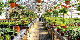 In fact, we believe plants can help solve many of the world's. How To Start A Garden Center Coastal Steel Structures