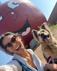 This guy recently turned 10!!!!! 🤯🤯🥳🥳🎂🥳🎈9 years since the day we  officially adopted you, Mr. Sampson! You've been so incredible with every  change we've thrown at you and I'm so grateful to