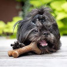 This nylon chew toy is made in the usa with real flavor from yummy maple wood to mimic your puppy's favorite outdoor fetch toy. Buy Benebone Maplestick Bacon Stick Durable Dog Chew Toy For Aggressive Chewers Made In Usa Online In Hungary B07f6scxcv