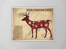 Amazon Com Deer Venison Meat Chart Art Print Rustic Meat