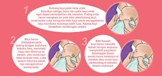 Gambar 2.4 bayi akan tenang dan puas di dada ibu. Kemahiran Penyusuan Susu Ibu Positive Parenting