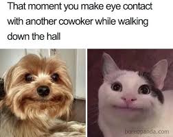 40 Funny Coworker Memes About Your Colleagues Sayingimages Com Funny Coworker Memes Funny Animal Memes Stupid Funny Memes
