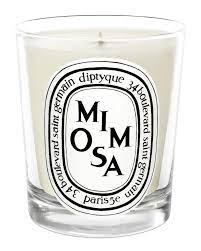 Diptyque 6 7 Oz Mimosa Scented Candle Gardenia Scented Candles Mimosa Candle Luxury Candles