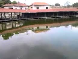 Mancing Alam Endah Strike Bawal Youtube