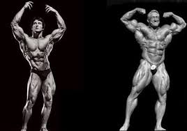 Normal bodybuilding is about putting out as much muscle size as possible whereas aesthetic bodybuilding is about putting on muscle on a moderate amount while . Bodybuilding Vs Aesthetics