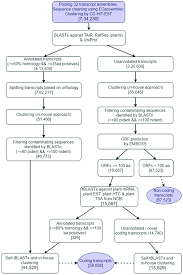 flow chart showing the approach for generating non redundant