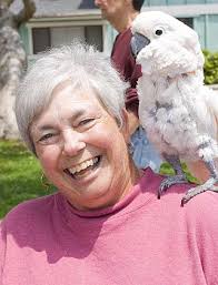 Photos: Sunset Beach Art Festival