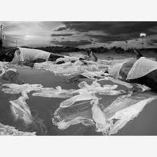 Bildergebnis für Anthony Goicolea